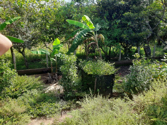 Imagem Terreno à Venda, 1 m² em Mascate - Nazaré Paulista Imagem Terreno à Venda, 1 m² em Mascate - Nazaré Paulista