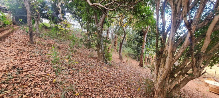 Imagem Imóvel com 3 Quartos à Venda, em Patrocinio Paulista - Patrocínio Paulista Imagem Imóvel com 3 Quartos à Venda, em Patrocinio Paulista - Patrocínio Paulista