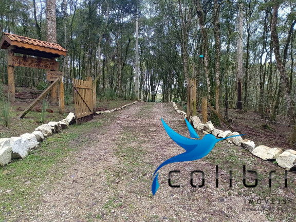 Imagem Chácara com 8 Quartos à Venda, 33.000 m² em Rio Da Várzea - Quitandinha
