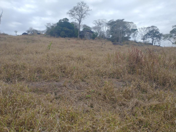 Chácara à Venda, 20.000 m² em Rio Pardo - Caldas