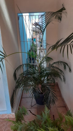 Imagem Casa com 2 Quartos à Venda, 200 m² em Vila Didi - Jundiaí