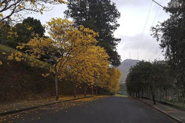 Imagem Terreno à Venda, 800 m² em Girardelli - Monte Alegre Do Sul Imagem Terreno à Venda, 800 m² em Girardelli - Monte Alegre Do Sul