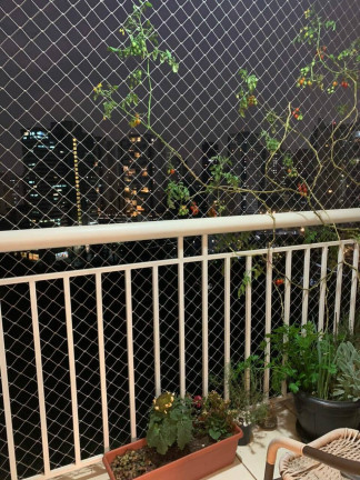 Imagem Apartamento com 2 Quartos à Venda, 67 m² em Vila Andrade - São Paulo Imagem Apartamento com 2 Quartos à Venda, 67 m² em Vila Andrade - São Paulo
