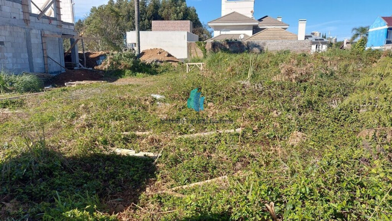 Imagem Terreno à Venda, 441 m² em Universitário - Bento Gonçalves Imagem Terreno à Venda, 441 m² em Universitário - Bento Gonçalves