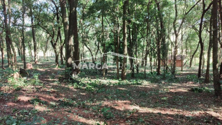 Imagem Fazenda à Venda, 35.000 m² em Floresta - Monte Santo De Minas Imagem Fazenda à Venda, 35.000 m² em Floresta - Monte Santo De Minas