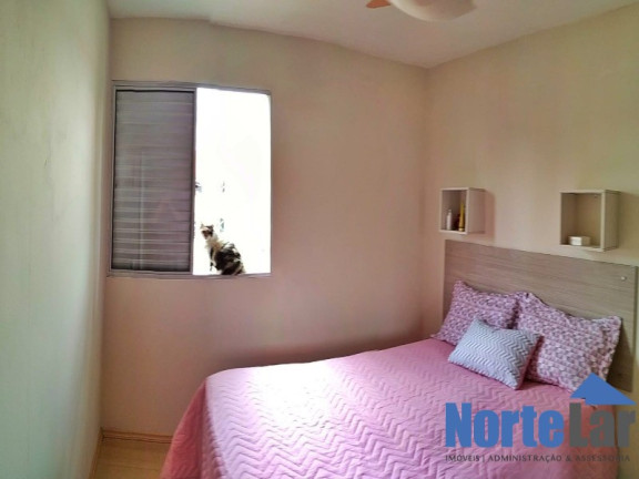 Imagem Apartamento com 2 Quartos à Venda, 52 m² em Vila Constança - São Paulo