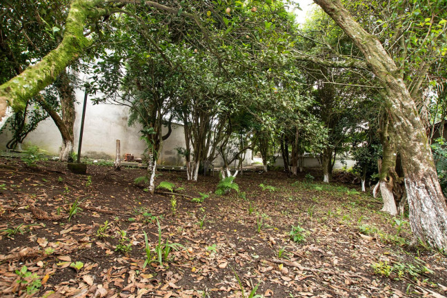 Imagem Terreno à Venda, 532 m² em Ecoville - Curitiba Imagem Terreno à Venda, 532 m² em Ecoville - Curitiba