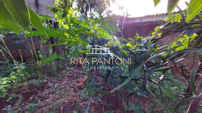 Imagem Terreno à Venda, 250 m² em Jardim Jandaia - Ribeirão Preto