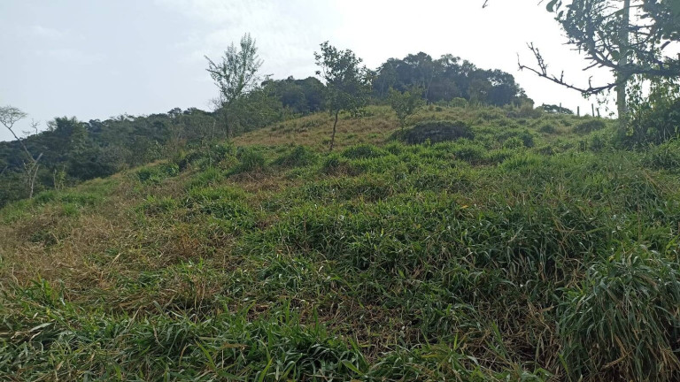 Imagem Chácara com 2 Quartos à Venda, 100 m² em Centro (são Francisco Xavier) - São José Dos Campos
