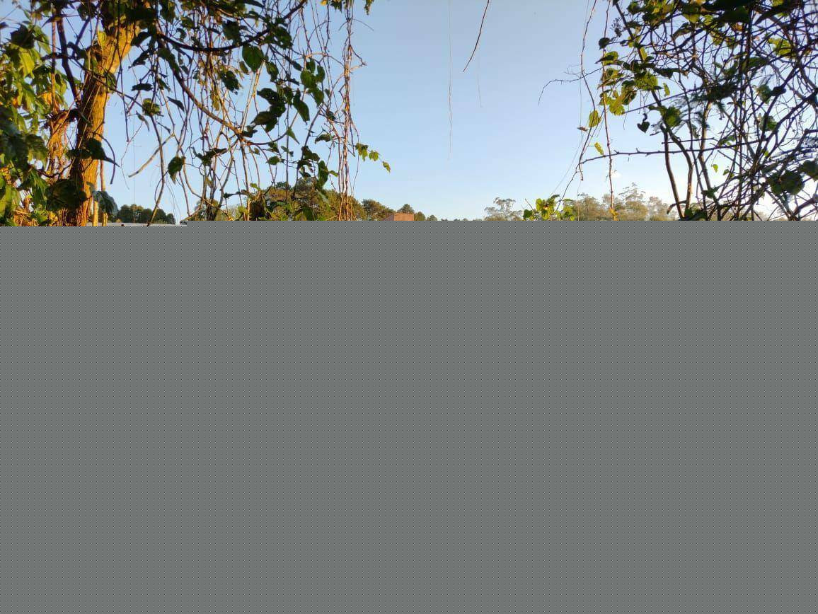 Imóvel à Venda, 1.278 m² em Sítio Do Francês - Ribeirão Pires