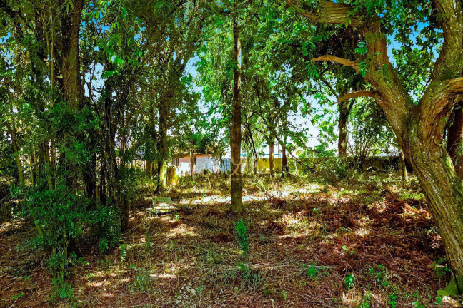 Imagem Terreno à Venda, 2.189 m² em Pinheirinho - Curitiba