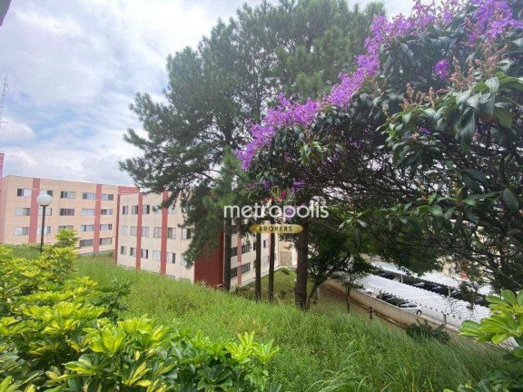 Imagem Apartamento com 2 Quartos à Venda, 65 m² em Jardim Patente - São Paulo Imagem Apartamento com 2 Quartos à Venda, 65 m² em Jardim Patente - São Paulo
