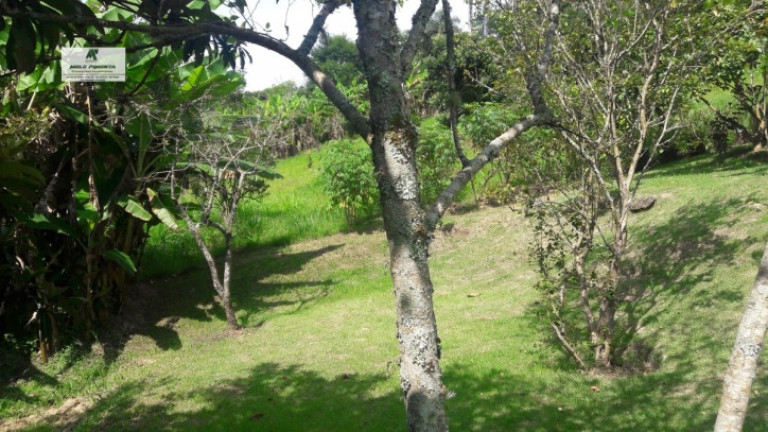 Imagem Chácara com 3 Quartos à Venda, 18.000 m² em Mailasqui - São Roque Imagem Chácara com 3 Quartos à Venda, 18.000 m² em Mailasqui - São Roque