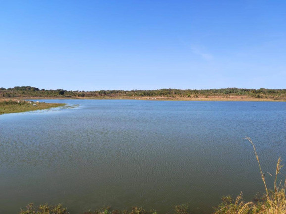 Imagem Fazenda à Venda, em Nossa Senhora Do Livramento Imagem Fazenda à Venda, em Nossa Senhora Do Livramento