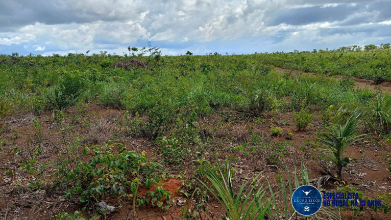 Imagem Fazenda à Venda, 2 m² em Zona Rural - Caxias Imagem Fazenda à Venda, 2 m² em Zona Rural - Caxias