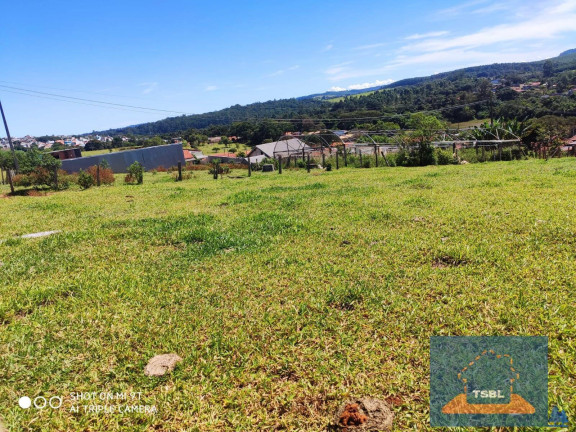 Terreno à Venda, 5.000 m² em Bairro Do Menin - Bragança Paulista