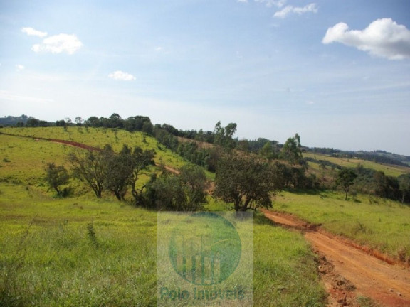 Imagem Imóvel com 3 Quartos à Venda, 302.500 m² em Zona Rural - Jacui