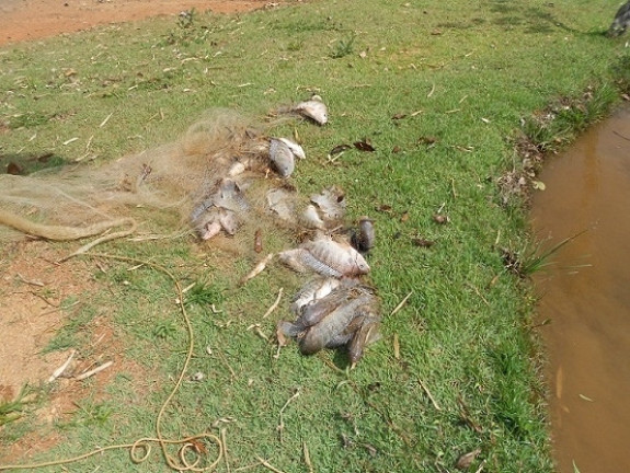 Imagem Fazenda à Venda, em Araxá Imagem Fazenda à Venda, em Araxá