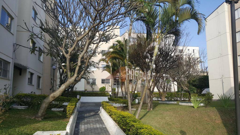 Imagem Apartamento com 2 Quartos à Venda, 50 m² em Engenheiro Goulart - São Paulo Imagem Apartamento com 2 Quartos à Venda, 50 m² em Engenheiro Goulart - São Paulo