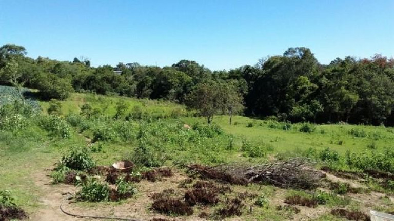 Imagem Imóvel com 4 Quartos à Venda, 300 m² em Dom Pedro - Campo Magro