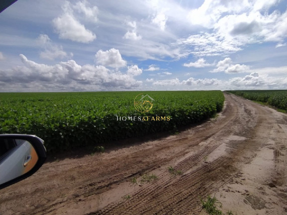 Imagem Imóvel com 3 Quartos à Venda, 40.000 m² em Capelinha - Conceição Do Araguaia Imagem Imóvel com 3 Quartos à Venda, 40.000 m² em Capelinha - Conceição Do Araguaia