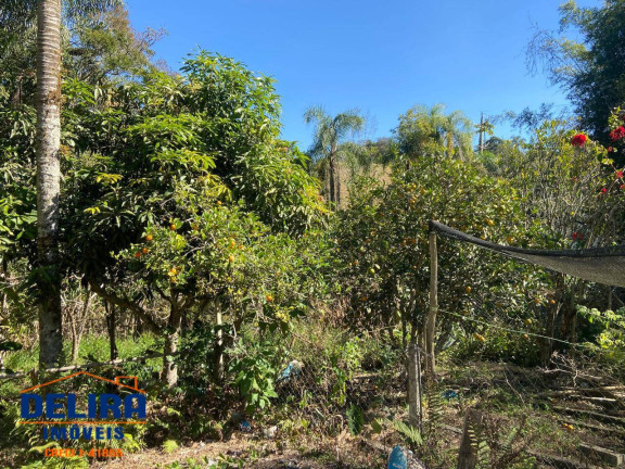 Imagem Chácara com 4 Quartos à Venda, 980 m² em Cardoso (terra Preta) - Mairiporã Imagem Chácara com 4 Quartos à Venda, 980 m² em Cardoso (terra Preta) - Mairiporã