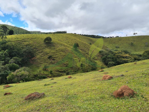 Imagem Chácara com 3 Quartos à Venda, 508.200 m² em Piracaia - Piracaia Imagem Chácara com 3 Quartos à Venda, 508.200 m² em Piracaia - Piracaia