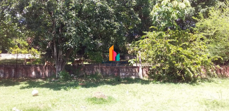 Imagem Imóvel com 3 Quartos à Venda, 5.500 m² em Loteamento Vale Azul I - Jundiaí