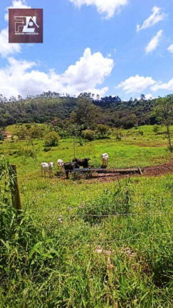 Imagem Imóvel à Venda, 24.200 m² em área Rural De Lorena - Lorena