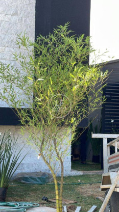 Imagem Casa com 3 Quartos à Venda, 150 m² em Parqville Pinheiros - Aparecida De Goiânia Imagem Casa com 3 Quartos à Venda, 150 m² em Parqville Pinheiros - Aparecida De Goiânia
