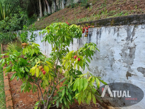 Imagem Chácara com 3 Quartos à Venda, 600 m² em Recanto Dos Palmares - Atibaia Imagem Chácara com 3 Quartos à Venda, 600 m² em Recanto Dos Palmares - Atibaia
