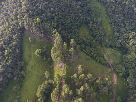 Imagem Terreno à Venda, 370.489 m² em Sul Do Rio - Santo Amaro Da Imperatriz Imagem Terreno à Venda, 370.489 m² em Sul Do Rio - Santo Amaro Da Imperatriz