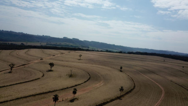 Imagem Fazenda à Venda, 116 m² em Zona Rural - Ribeirão Bonito Imagem Fazenda à Venda, 116 m² em Zona Rural - Ribeirão Bonito