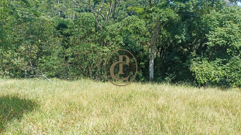 Imagem Chácara com 2 Quartos à Venda, 100 m² em Porto - Paraibuna Imagem Chácara com 2 Quartos à Venda, 100 m² em Porto - Paraibuna