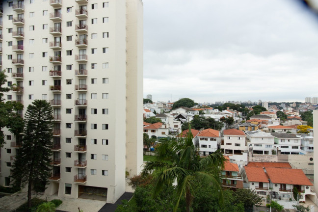 Imagem Apartamento com 3 Quartos à Venda, 82 m² em Vila Mariana - São Paulo Imagem Apartamento com 3 Quartos à Venda, 82 m² em Vila Mariana - São Paulo