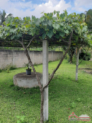 Imagem Chácara com 2 Quartos à Venda, 3.000 m² em Vale Do Encantado - Jacareí