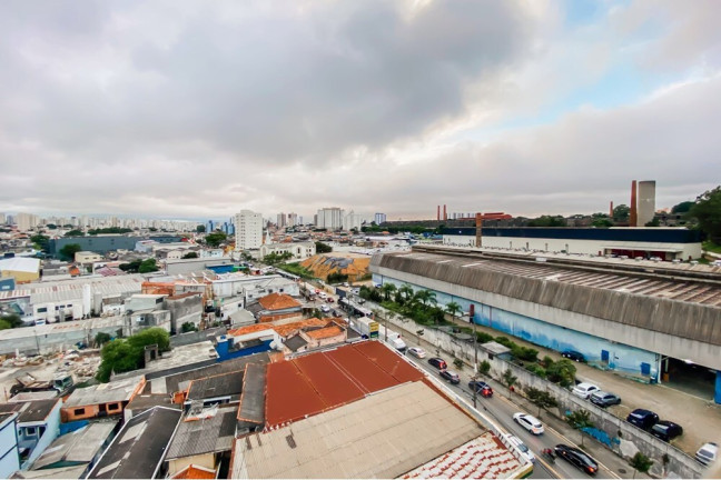 Imagem Apartamento com 3 Quartos à Venda, 70 m² em Saúde - São Paulo Imagem Apartamento com 3 Quartos à Venda, 70 m² em Saúde - São Paulo
