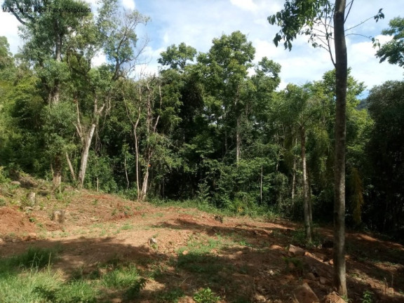 Imagem Terreno à Venda, 3 m² em Linha Pirajá Alta - Nova Petrópolis