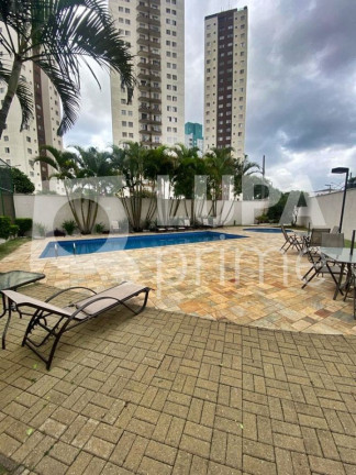 Imagem Apartamento com 2 Quartos à Venda, 50 m² em Parque Novo Mundo - São Paulo Imagem Apartamento com 2 Quartos à Venda, 50 m² em Parque Novo Mundo - São Paulo