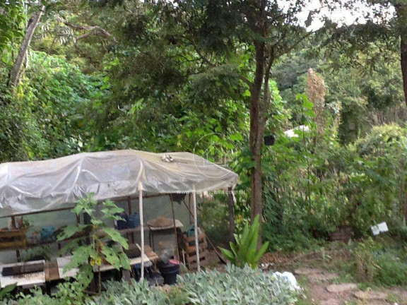 Imagem Fazenda à Venda ou Locação, 300 m² em Aranha - Brumadinho Imagem Fazenda à Venda ou Locação, 300 m² em Aranha - Brumadinho