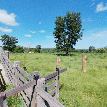 Imagem Chácara com 2 Quartos à Venda, 12 m² em Tangará Da Serra Imagem Chácara com 2 Quartos à Venda, 12 m² em Tangará Da Serra