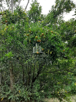 Imagem Chácara com 2 Quartos à Venda, em Recanto Vital Brasil - Mauá Imagem Chácara com 2 Quartos à Venda, em Recanto Vital Brasil - Mauá
