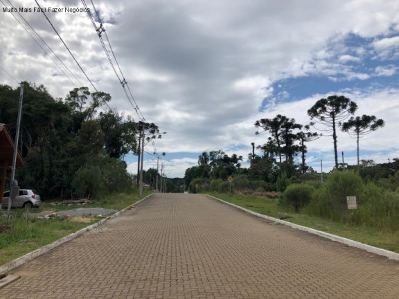 Imagem Terreno à Venda, 450 m² em Germânia - Nova Petrópolis Imagem Terreno à Venda, 450 m² em Germânia - Nova Petrópolis