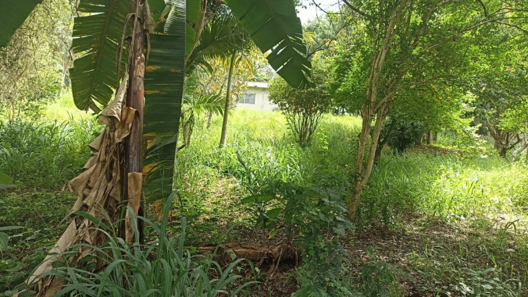 Imagem Chácara com 2 Quartos à Venda, 100 m² em Varjao - Paraibuna Imagem Chácara com 2 Quartos à Venda, 100 m² em Varjao - Paraibuna