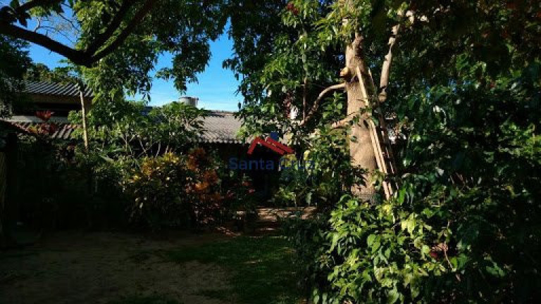 Imagem Casa com 4 Quartos à Venda, 620 m² em São João Do Rio Vermelho - Florianópolis