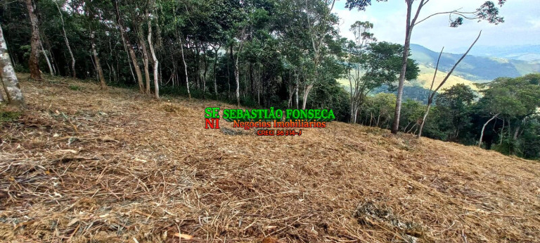 Imagem Chácara à Venda, 30.000 m² em Centro - Monteiro Lobato Imagem Chácara à Venda, 30.000 m² em Centro - Monteiro Lobato