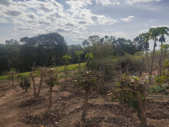 Imagem Chácara com 2 Quartos à Venda, 22.000 m² em Bairro Dos Leites - Piedade Imagem Chácara com 2 Quartos à Venda, 22.000 m² em Bairro Dos Leites - Piedade