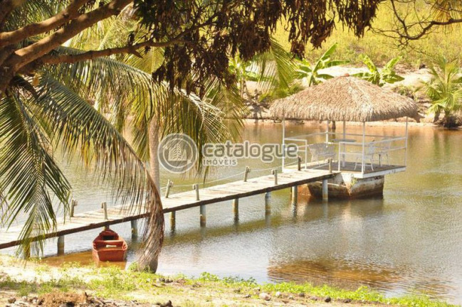Imagem Fazenda à Venda, 80.000 m² em Taborda - São José De Mipibu Imagem Fazenda à Venda, 80.000 m² em Taborda - São José De Mipibu