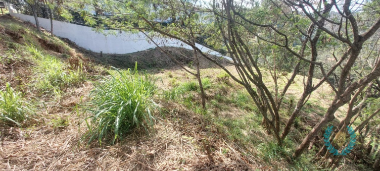 Imagem Terreno à Venda, 2.639 m² em Bairro Do Cambará - São Roque Imagem Terreno à Venda, 2.639 m² em Bairro Do Cambará - São Roque
