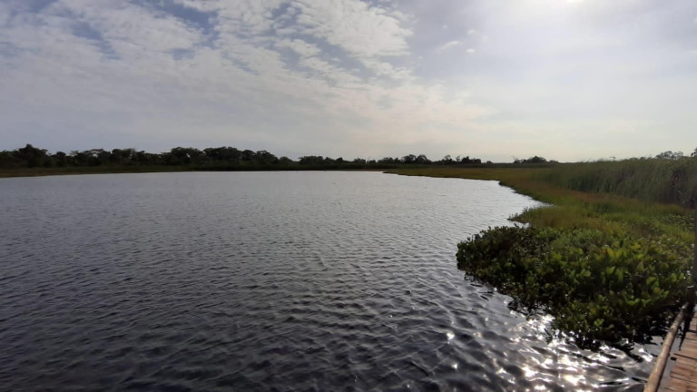 Imóvel à Venda, 1.000 m² em Zona Rural - Bataguassu